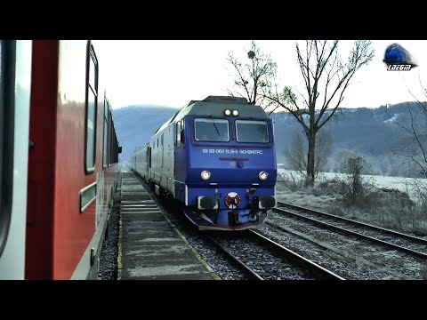 Teodora GM 64-1125-5 & Mecanic Super Engineer in Gara Piatra Craiului Station - 01 December 2020