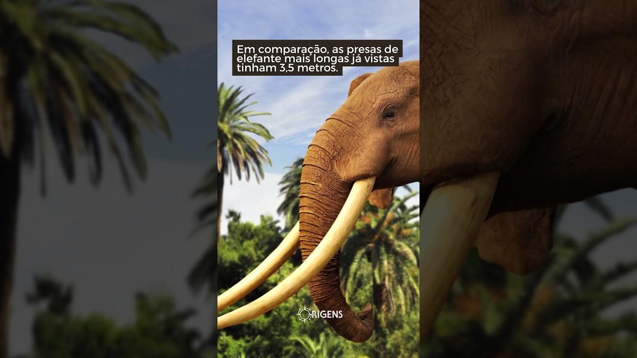 Você já sabia tudo isso sobre os mamutes?