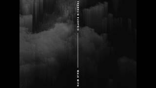 The Franklin Electric "Walk With You"-audio