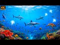 APEX Ocean Predators How They Actually Hunt Marine Wildlife Documentary 2026