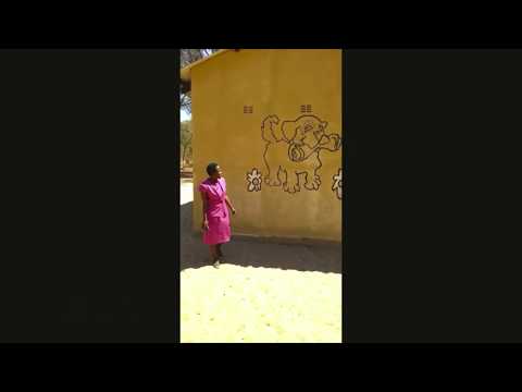 A Safe Learning Space for Zimbabwean ECD Learners