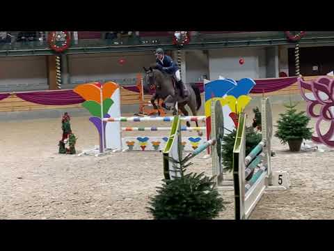 Kto Terminator - mare, 2017, by Dominator Z x Cicero Z, 6th place at 5years old class, New Year Jump