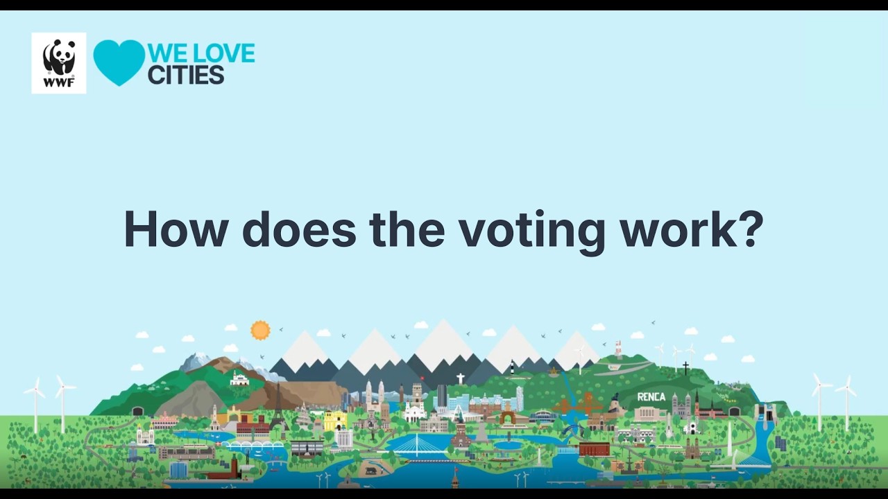 How does the voting work?