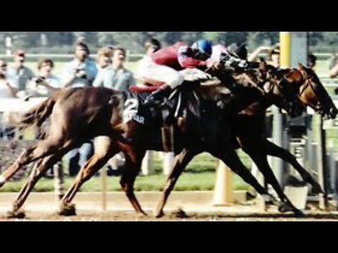 My Reaction To Affirmed vs. Alydar - 1978 Travers Stakes (Final Meeting)