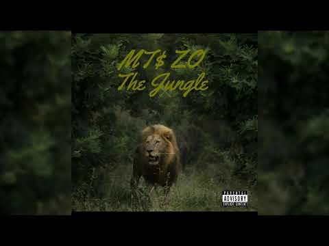 MTS ZO - THE JUNGLE (PROD BY CFRSHCO)