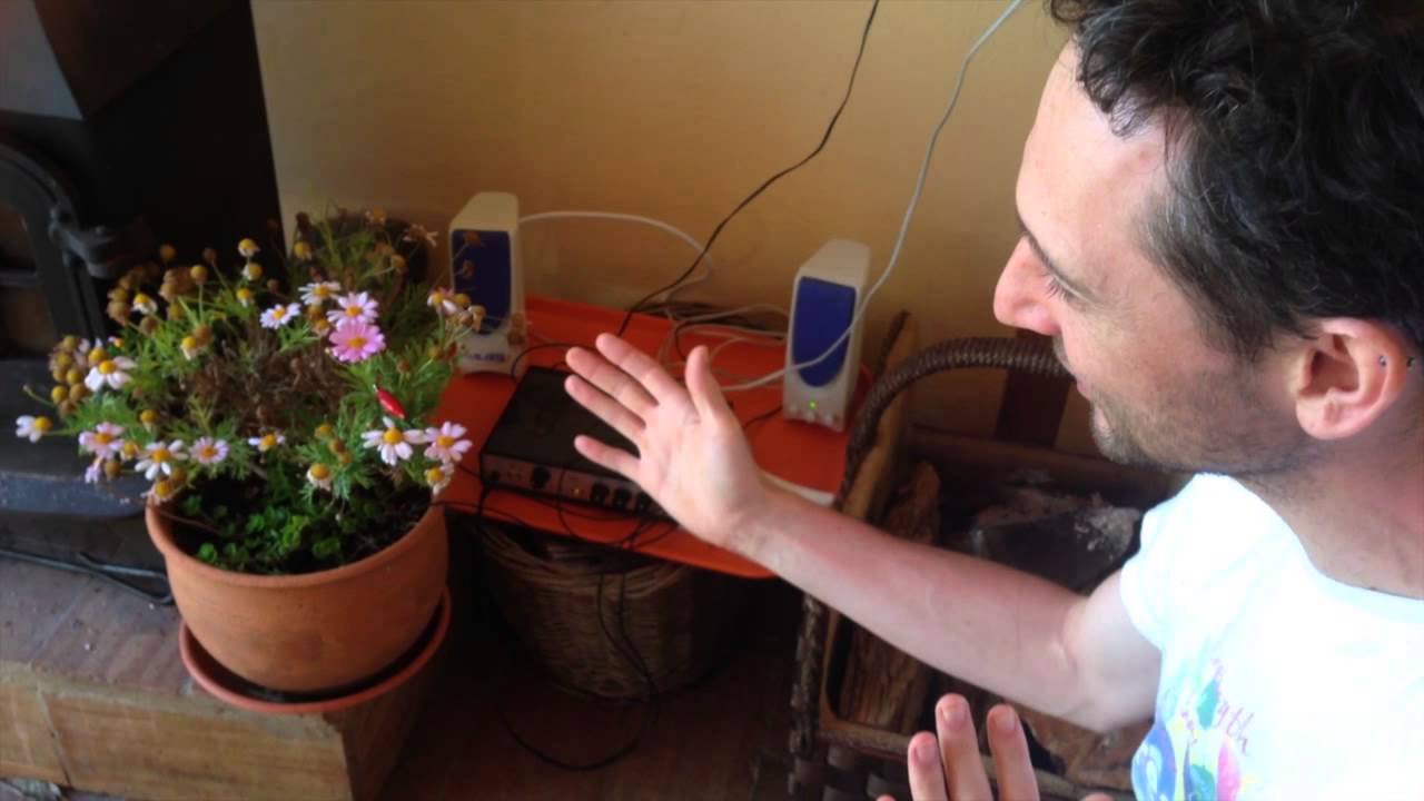 The Singing Plant