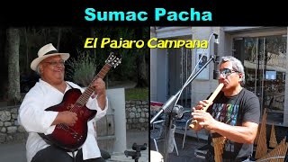 EL PAJARO CAMPANA : SUMAC PACHA LIVE