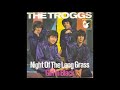 The Troggs, Girl in black, Single 1967