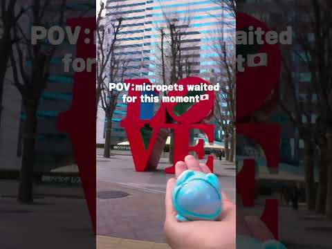 みんなはマイクロペットとどこに行きたい？🛫#デジタル #かわいい #おもちゃ #マイクロペット #micropets