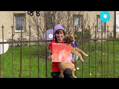 Petrol Girls - How To Make A Baby (Trip To Austrovinyl)