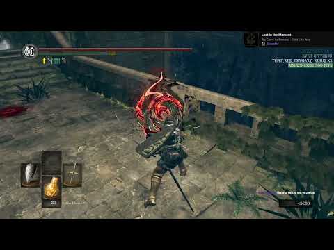 [6] DSR PC PVP casual ts