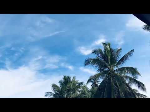 The Scientist// Coldplay (a cover by dusha)