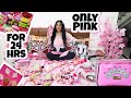 Using only *PINK* things for 24 hours!!!💗 | Riya's Amazing World