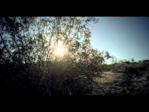 K. ROOSEVELT - THE ONE