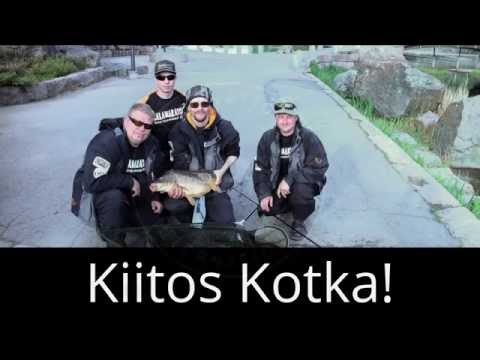 Kalamaraton Kotka 2016