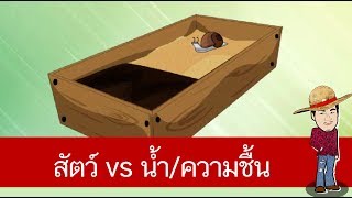 สื่อการเรียนการสอน การตอบสนองต่อสิ่งเร้าของสัตว์ ตอน น้ำและความชื้น ป.4 วิทยาศาสตร์