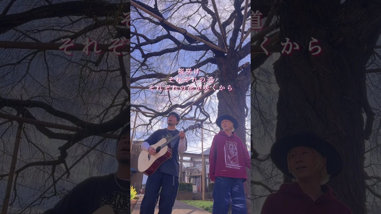 《㊗️新生活》桜咲けそれぞれの道 それぞれの花が咲くから  #吉田山田 #桜咲け #新生活 #新学期 #入学 #弾き語り