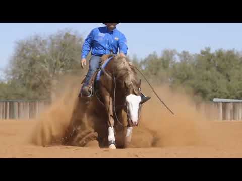 Americasnexttopgun 2022 Commercial