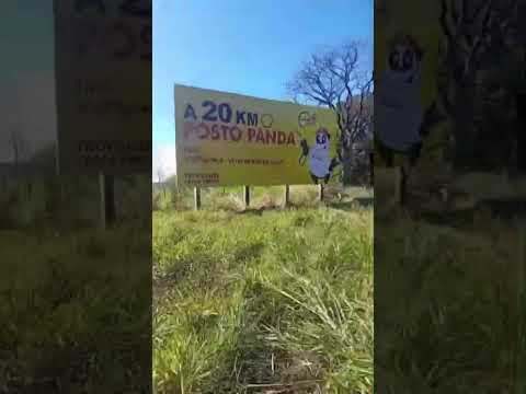 Guaraniaçu PR. #nohpaineis