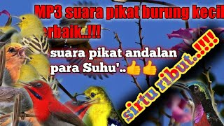 Download lagu suara pikat sirtu ribut kombinasi burcil@jahid channel mp3