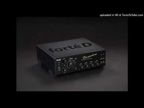 Bergantino Audio Systems - Forté D Compact Bass Amp