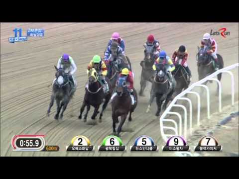 OS Hwadap - Nicola Pinna, December 20, 2015