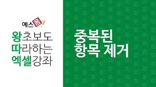 [예스폼 엑셀강좌] 왕따엑셀 메뉴 / 28. 중복된 항목제거