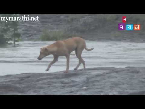 खडकवासला तुडुंब .....अन अवतरली मुठामाई (व्हिडीओ)