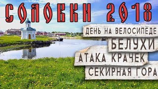 Занимались ли монахи соловецкого монастыря рыбной ловлей