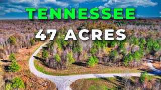 47 Acres of TENNESSEE Land for Sale with Power • LANDIO