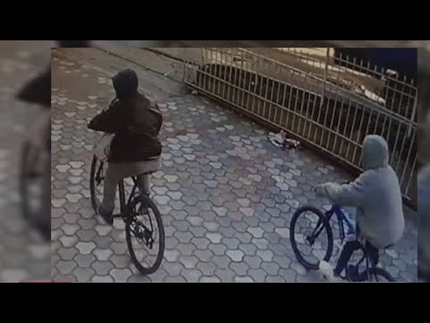 Arrestohen hajdutët e Postës shqiptare në Babrru, grabitja me pistoletë lodër