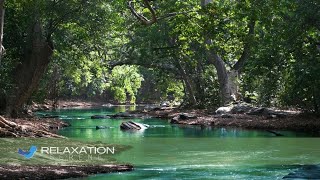 Música Relaxante para Meditar TOP20