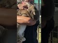 IS THIS THE BIGGEST RABBIT YOU'VE EVER SEEN?