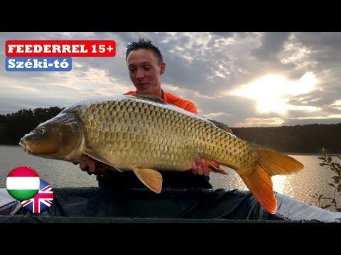 KAPITÁLIS NYURGAPONTY - A Széki-tó kincsei💪🤴 (The FishAIRMan 13. rész)