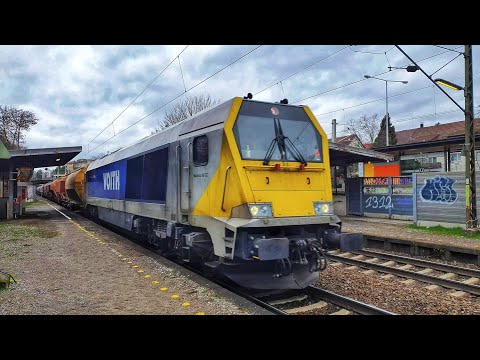 Voith Maxima 40CC 264 001 mit einem Schüttgutzug in Stuttgart Ebitzweg am 03.02.2023