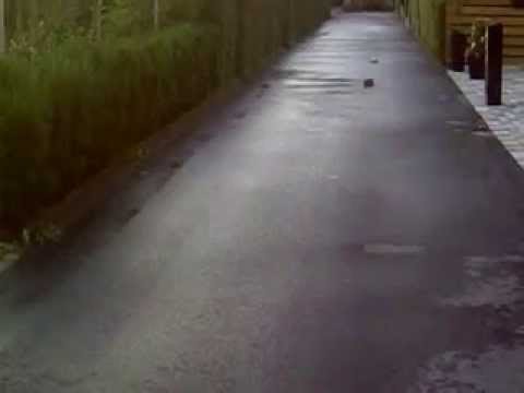 Mitsubishi Evo RC / Peugeot 206 RC