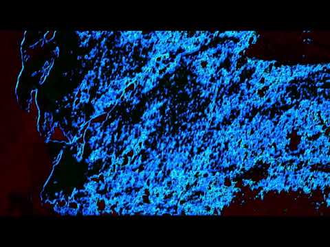 Never Reaching Heaven