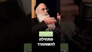 קברי צדיקים. הסבר מרתק לתופעה והקשר בינם לבין נפש, גוף,נשמה. הכנסו לפודקסט המרתק של קופי והרב 💚✨