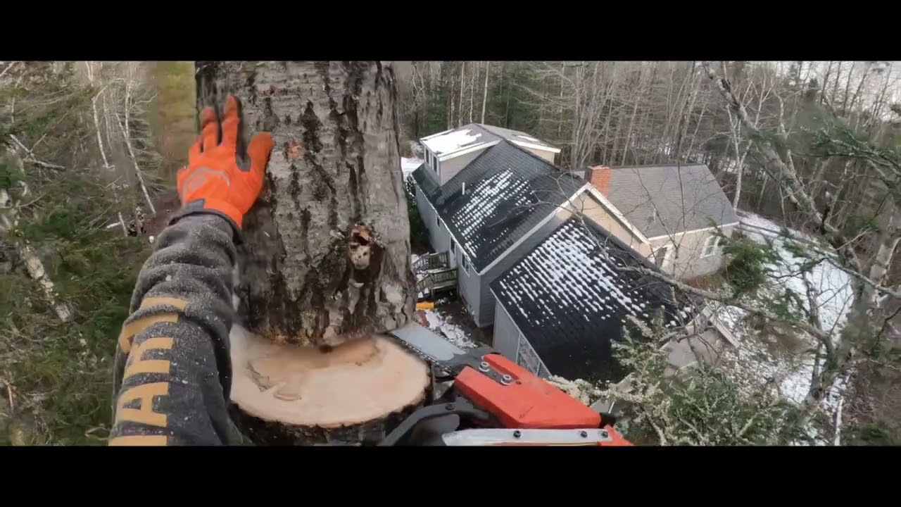 Sons of Thunder Tree Service Video