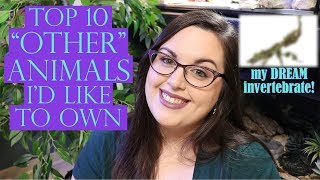 TOP 10 "OTHER" ANIMALS I'd Like To Own