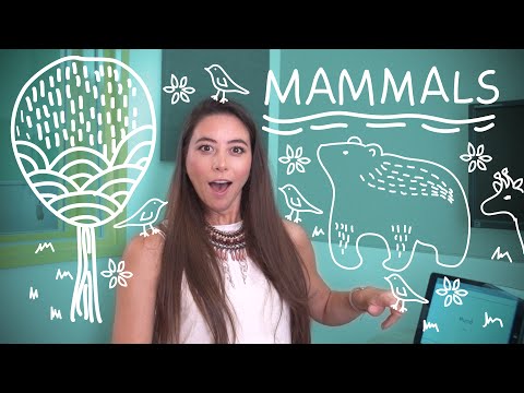 Learn The Most Useful Words in German