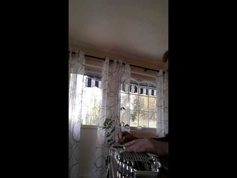 Henning Antonsen - Healing Hands Of Time (steel instrumental)