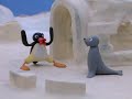 Pingu S01e07 Pingu And The Snowball Fight