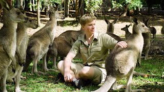 Travel Australia for Kids