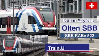 🇨🇭 4K Swiss Trains | Olten Switzerland | Léman Express | SBB RABe 522 | SBB LEX