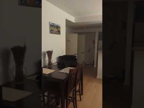 video 1
