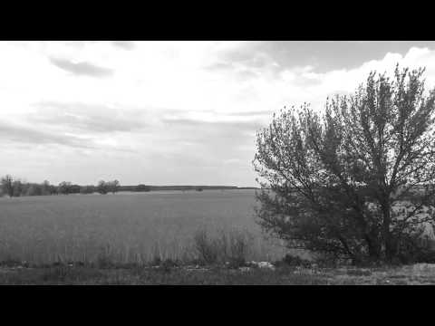 2x DFAM - LIVE EXPERIMENT #1 (MELODIC AMBIENT)