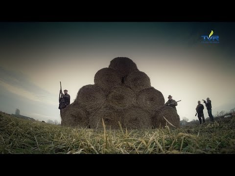 Darz Bór odc. 92 - Polujemy z Niemieckim Terierem Myśliwskim cz. 2