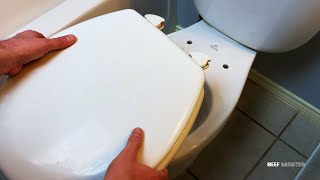 How to Replace a Toilet Seat