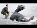 The Water Horse 2007 Film Explained In Hindi Urdu Water Horse Summarized हिन्दी